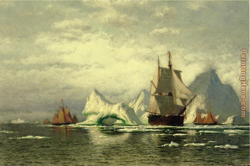 Arctic Whaler Homeward Bound Among the Icebergs painting - William Bradford Arctic Whaler Homeward Bound Among the Icebergs art painting
